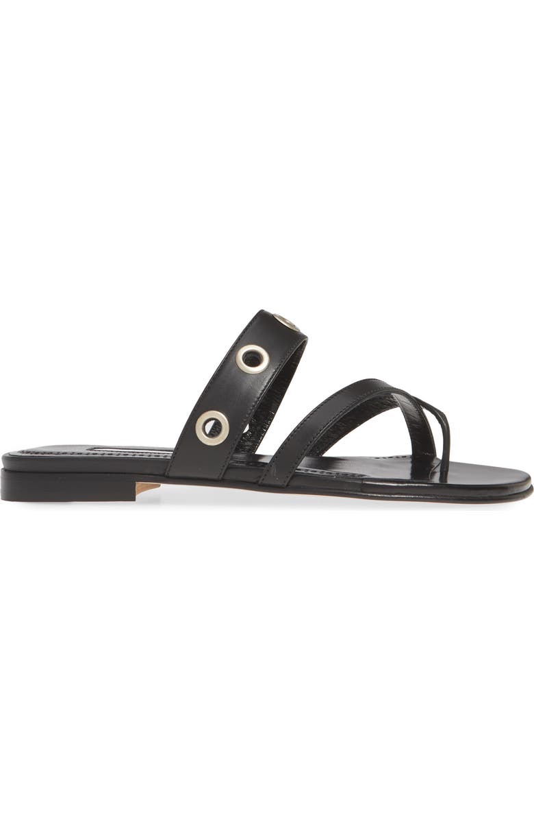 Manolo Blahnik Susoch Thong Sandal, Alternate, color,