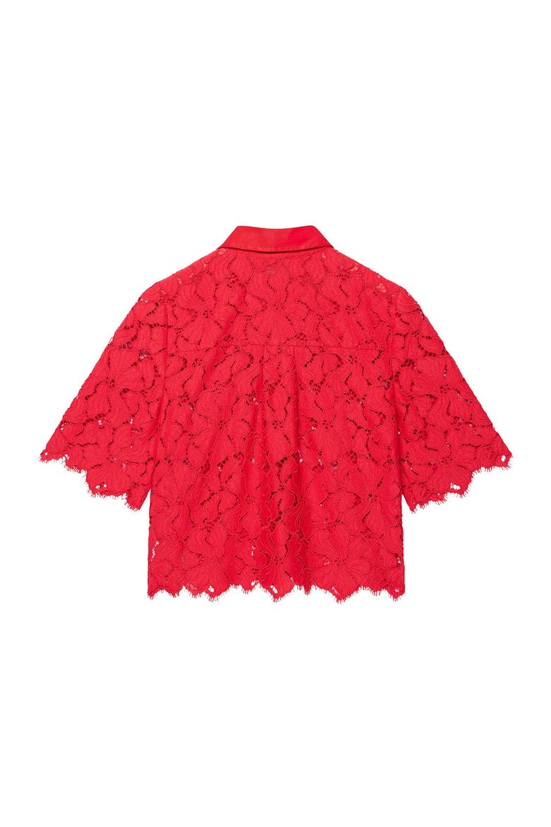 Lace Short Sleeve Cropped Shirt, Alternate, color, Red