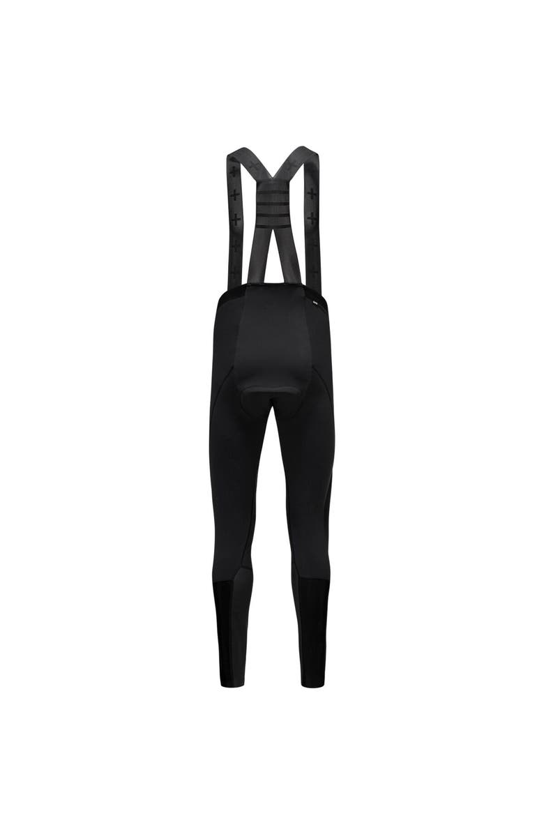 GOREWEAR Distance Winter Bib Tights+ - Men's, Alternate, color, Black