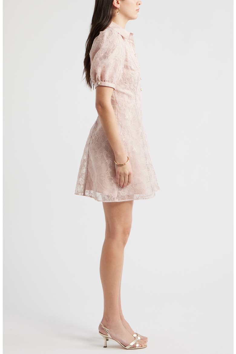 Floral Embroidered Puff Sleeve Minidress, Alternate, color, PINK SEPIA
