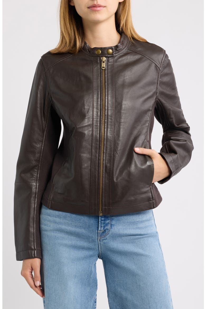 Leather Jacket, Alternate, color, DARK BROWN