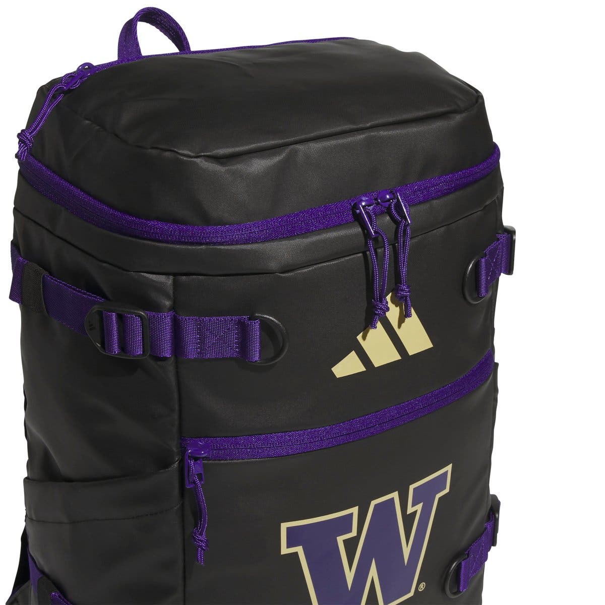 Washington Huskies Collegiate Vista Backpack, Alternate, color, Black