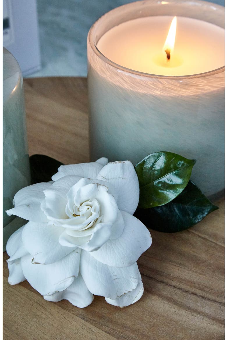 Fresh Cut Gardenia Signature Candle, Alternate, color, NO COLOR