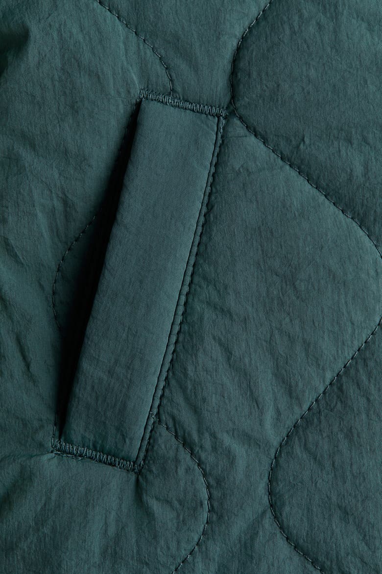 Quilted Nylon Jacket, Alternate, color, Dark green