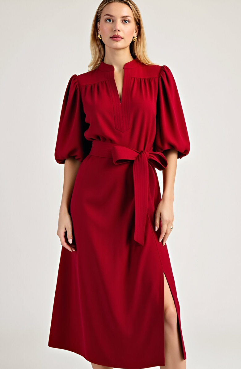 Modenaire Short Sleeve Mini Dress with Belted Waist and Utility Pockets, Alternate, color, Dark Red