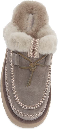 Tasman Slipper