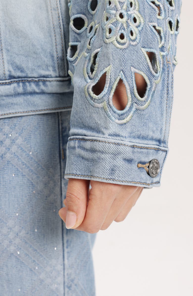 Bayeas Embroidered Denim Jacket, Alternate, color, Gaia