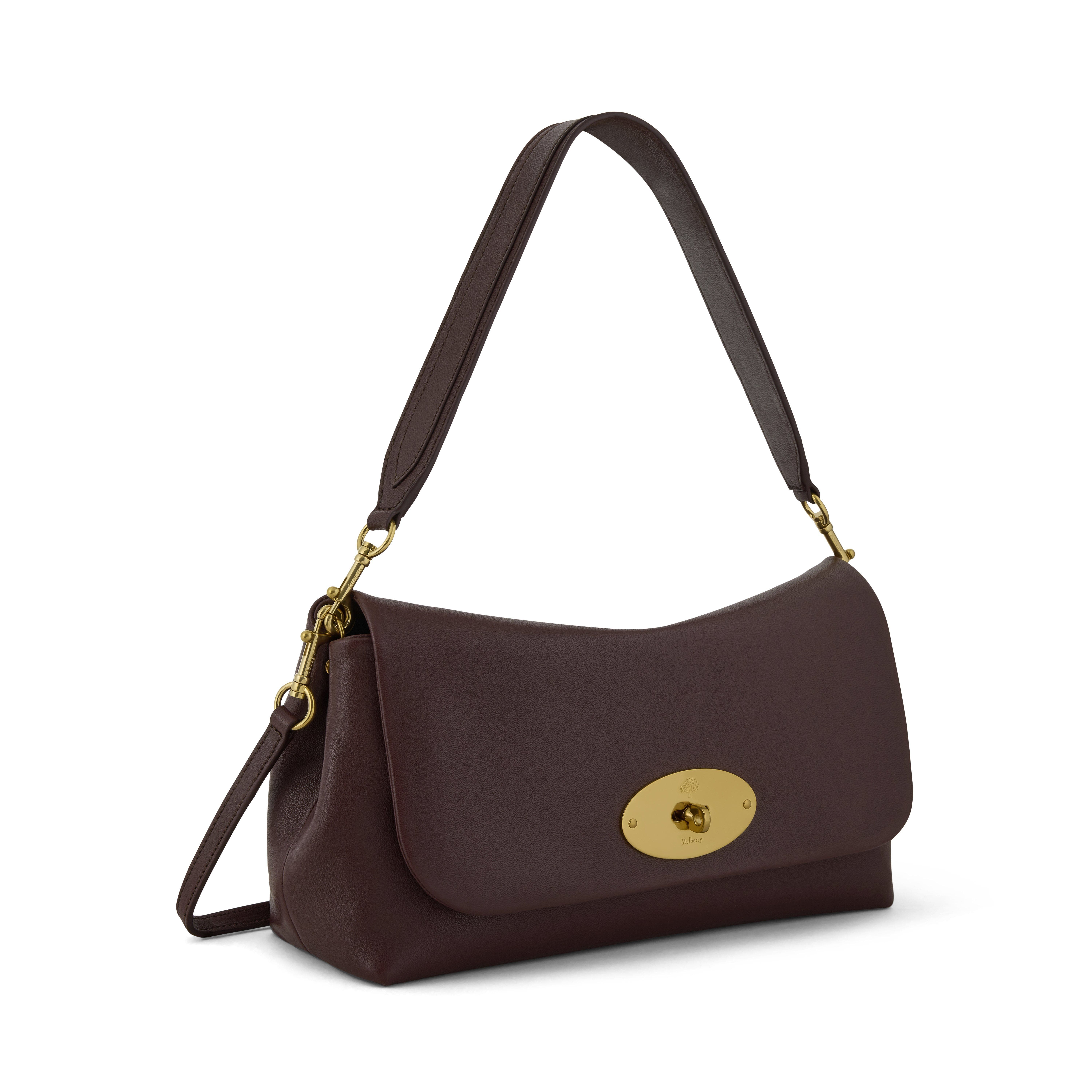 Delilah Leather Flag Bag, Alternate, color, Oxblood