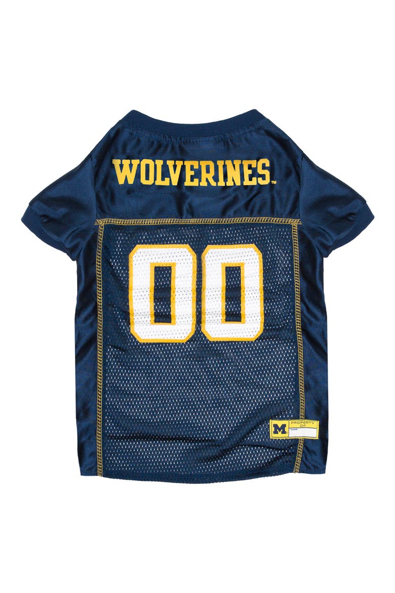 Michigan Mesh Dog Jersey, Main, color, BLUE
