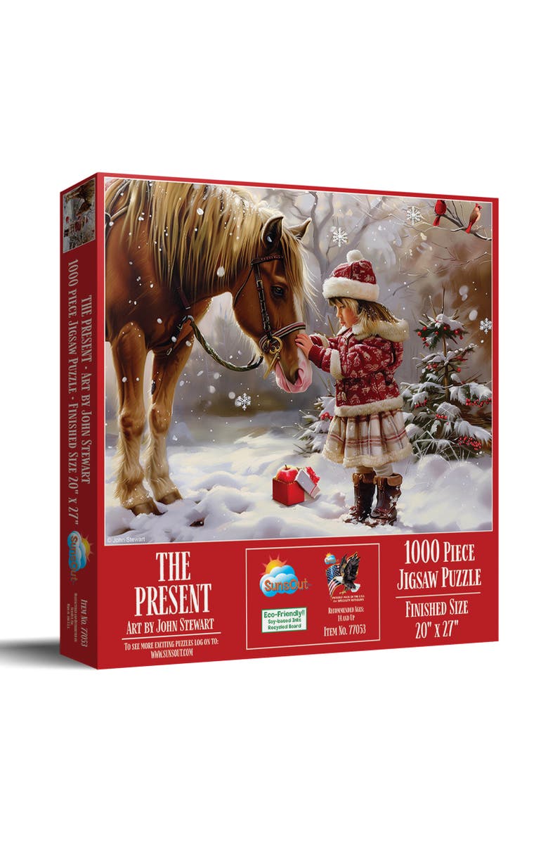 Sunsout The Present 1000 piece Jigsaw Puzzle for Adults, Main, color, Multicolor