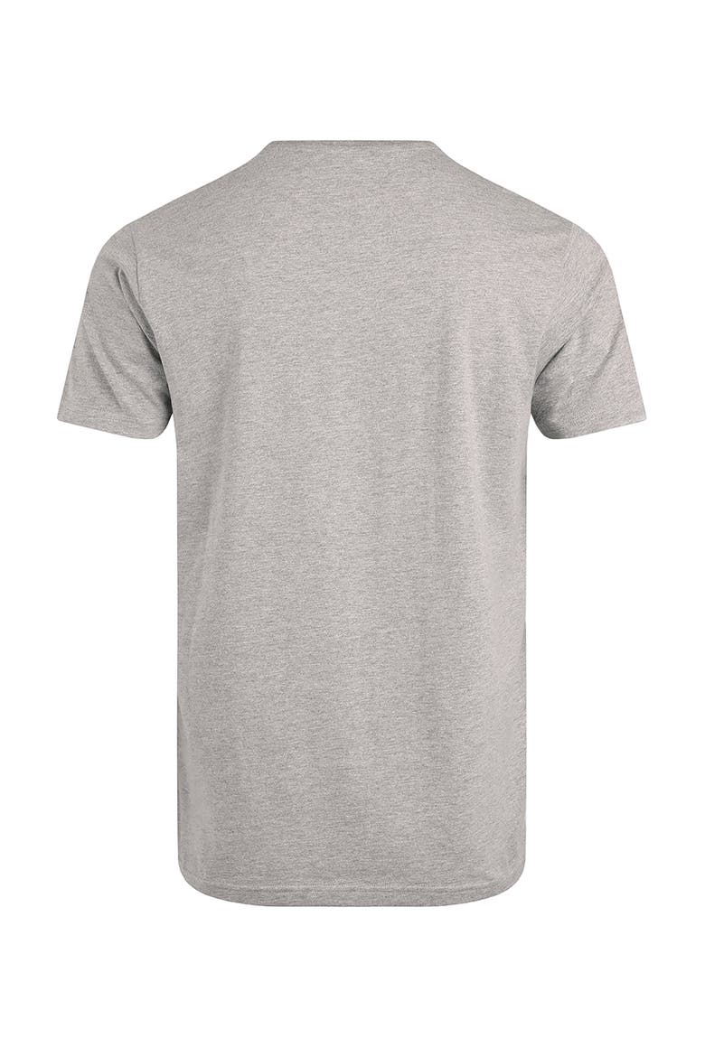 Hudson Front Print Branded T-Shirt, Alternate, color, Grey Marl
