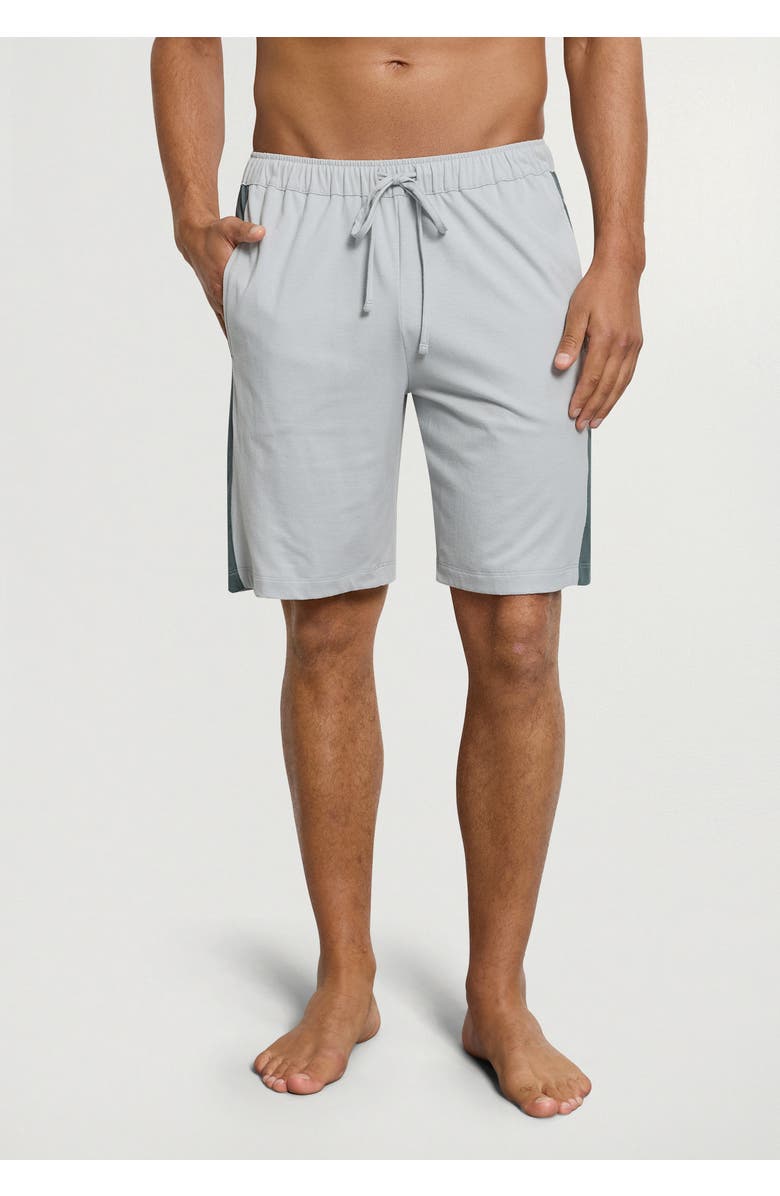 Hanro Night And Day Cotton Drawstring Shorts, Alternate, color, Skyline Gray