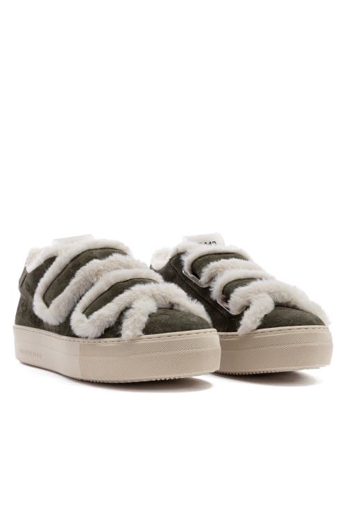 P448 Thea Venice Platform Sneaker In Green