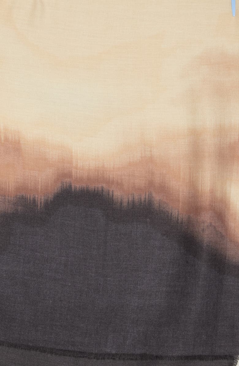 Vince Camuto Ombré Dye Supersoft Oblong Scarf, Alternate, color, Neutral