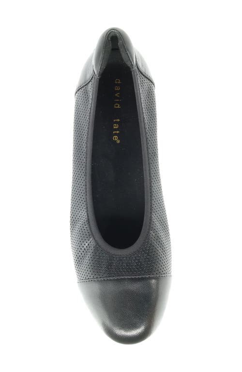 David Tate Newton Cap Toe Flat In Black