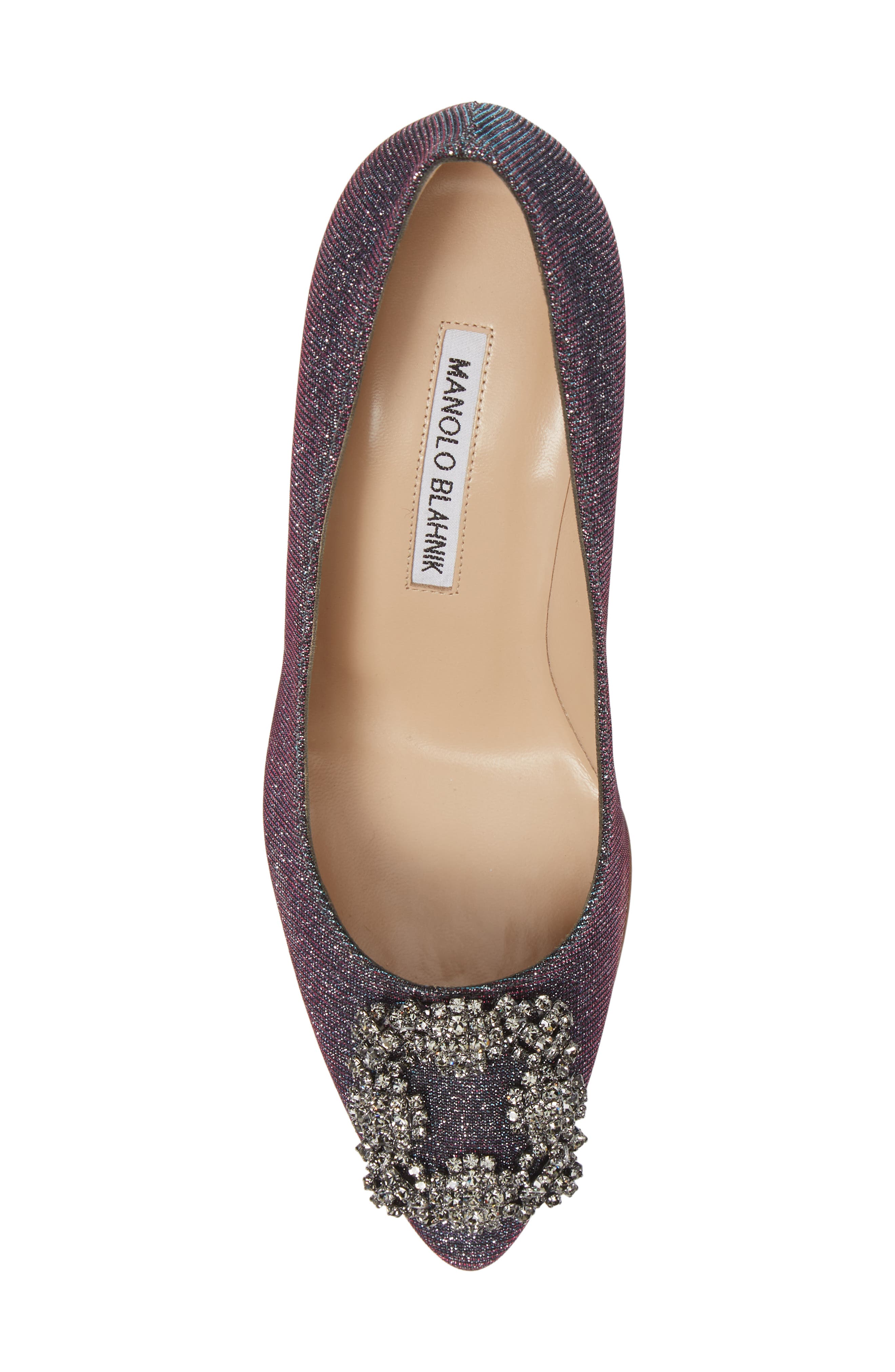 Manolo Blahnik Hangisi Pointed Toe Pump, Alternate, color, 