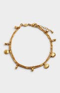 Katie Loxton Cochellia Anklet