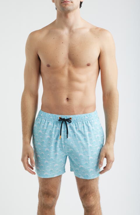 Ademir Swim Trunks