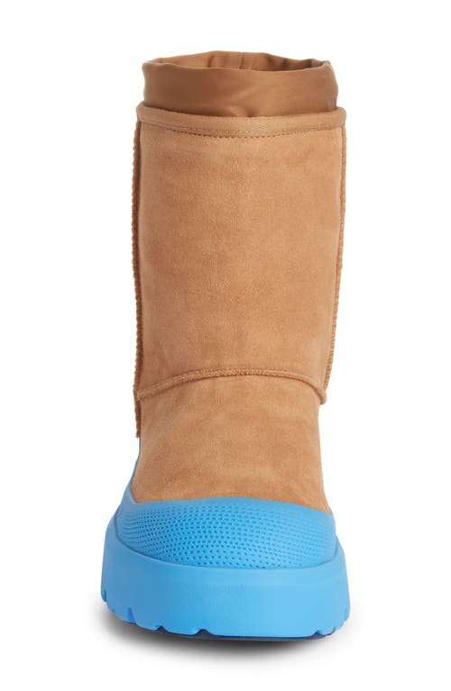 UGG UGG® CLASSIC SHORT HYBRID WINTER BOOT 