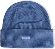 PLEASURES Old E Waffle Beanie