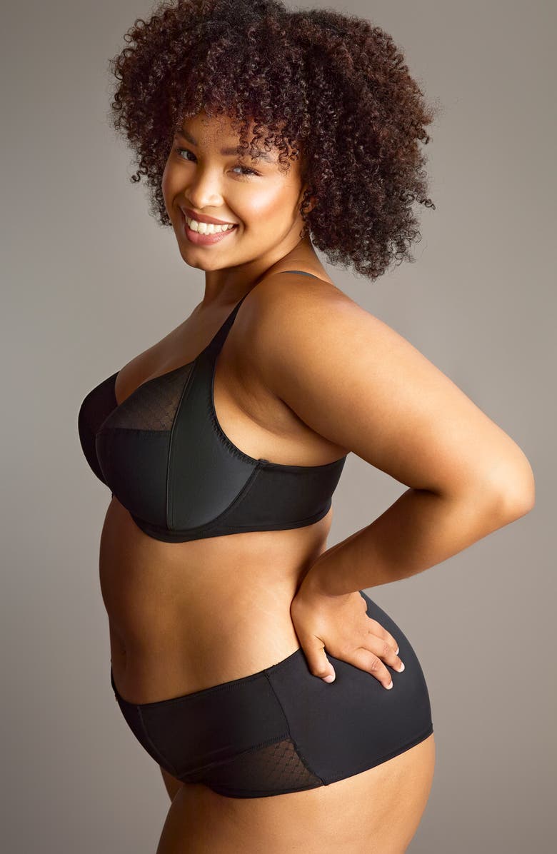 Panache Bliss Cheeky Briefs, Alternate, color, Noir