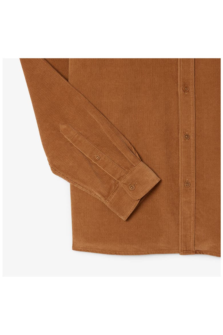 Regular Fit Corduroy Button-Up Shirt, Alternate, color, DATE BROWN