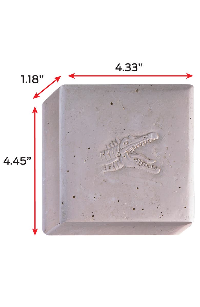 WowWorld Dino Dig Spinosaurus Skeleton Excavation Kit, Ages 6+, Alternate, color, 