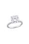 selected White Gold