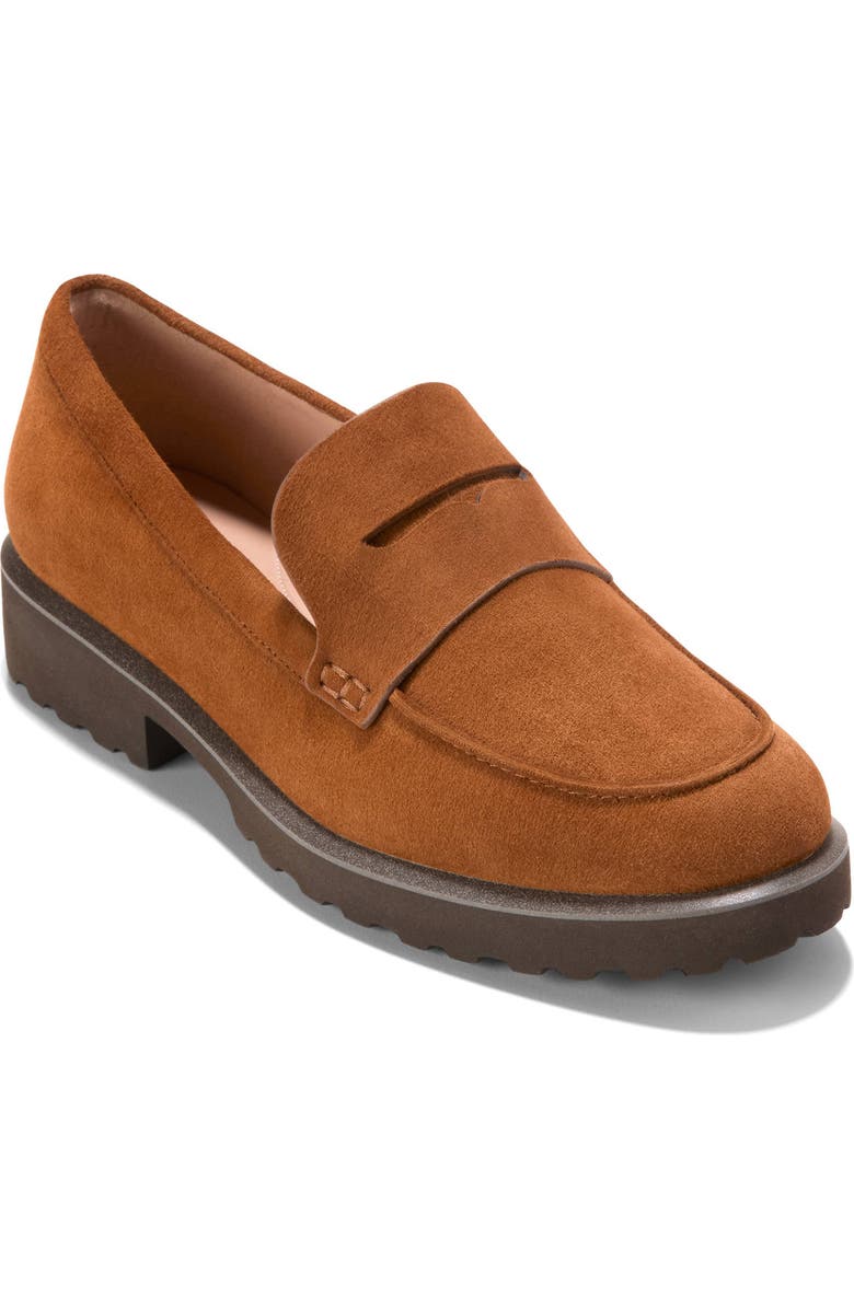 Cole Haan Gwendolyn Penny Loafer, Main, color, Chestnut Tobacco Suede