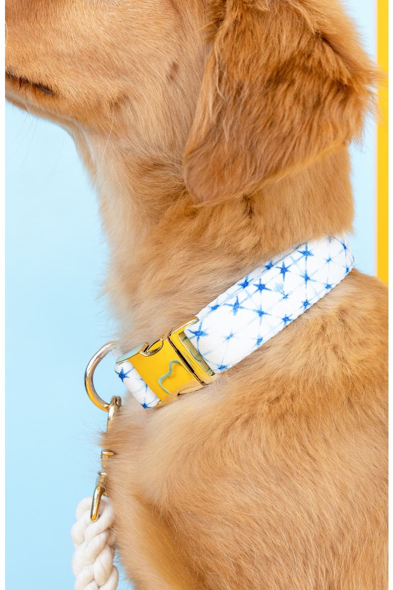 Drew Dog Collar, Alternate, color, Drew