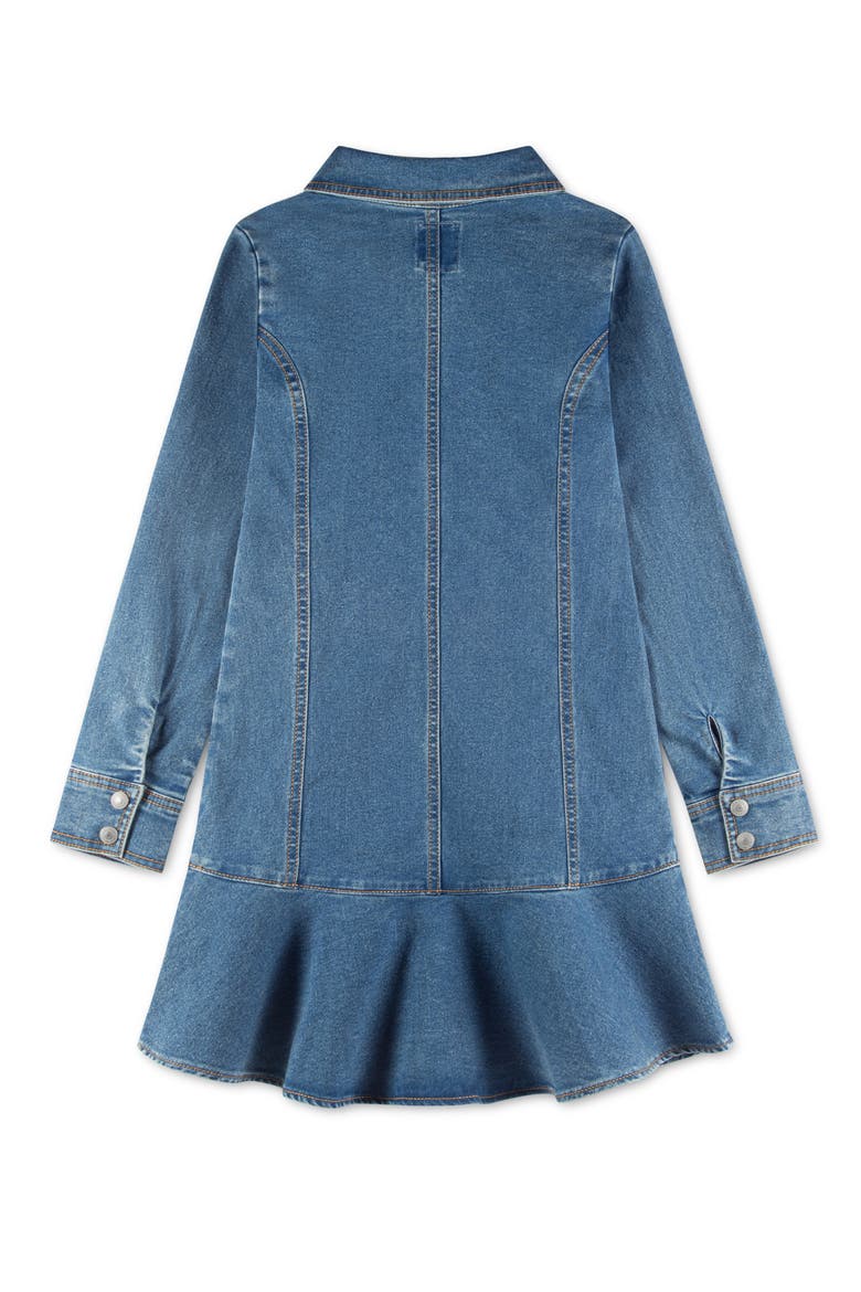 Kids' Long Sleeve Denim Dress, Alternate, color, DREW ME IN