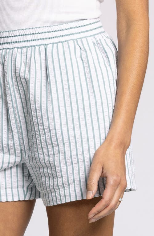 Thread & Supply Marina Stripe Cotton Seersucker Shorts In Gray