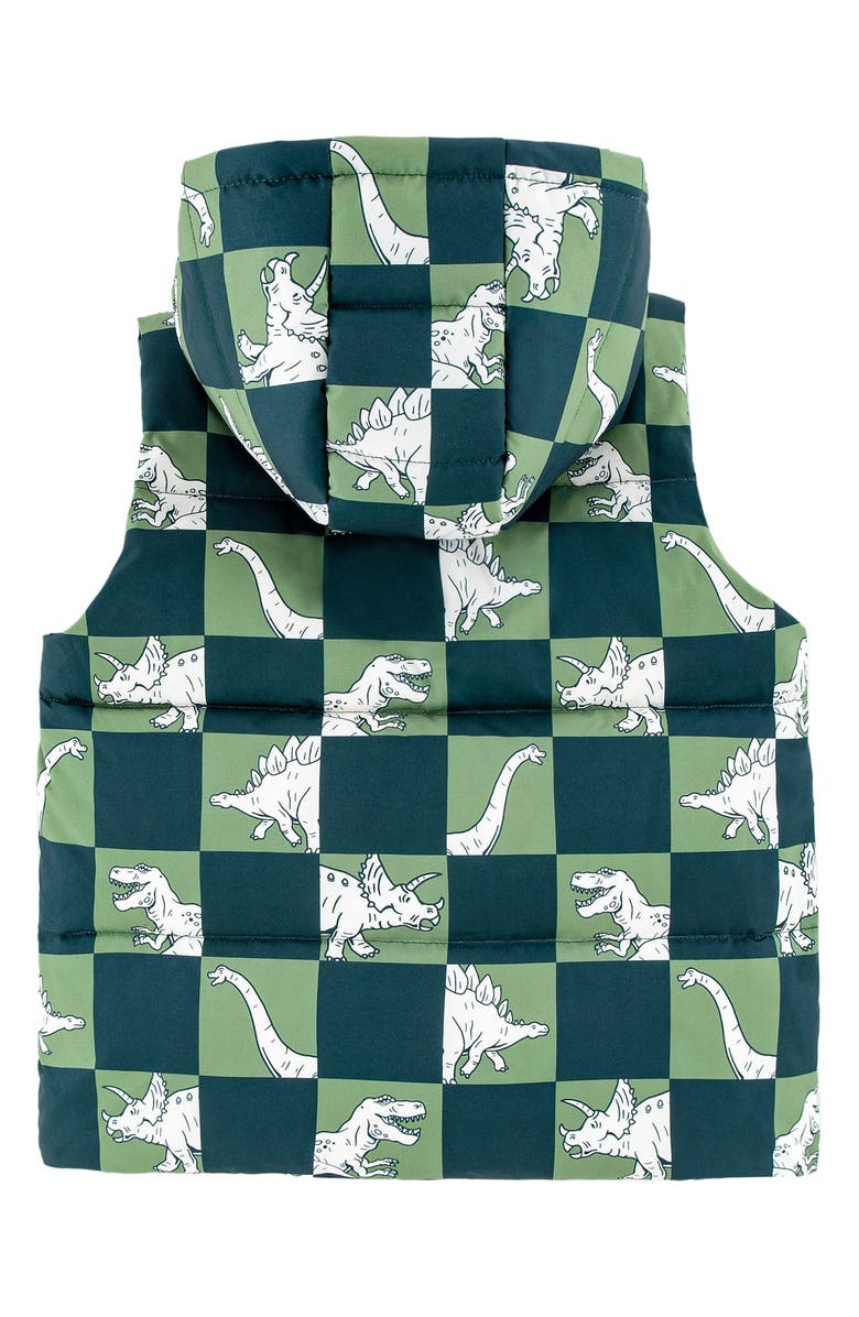 CALONIE Kids' Dylan Reversible Down Hooded Puffer Vest, Alternate, color, Olive