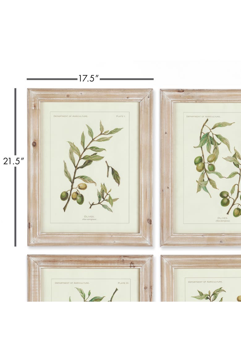 Framed Olive Leaf Botanical Prints Set of 4, Alternate, color, Off-White