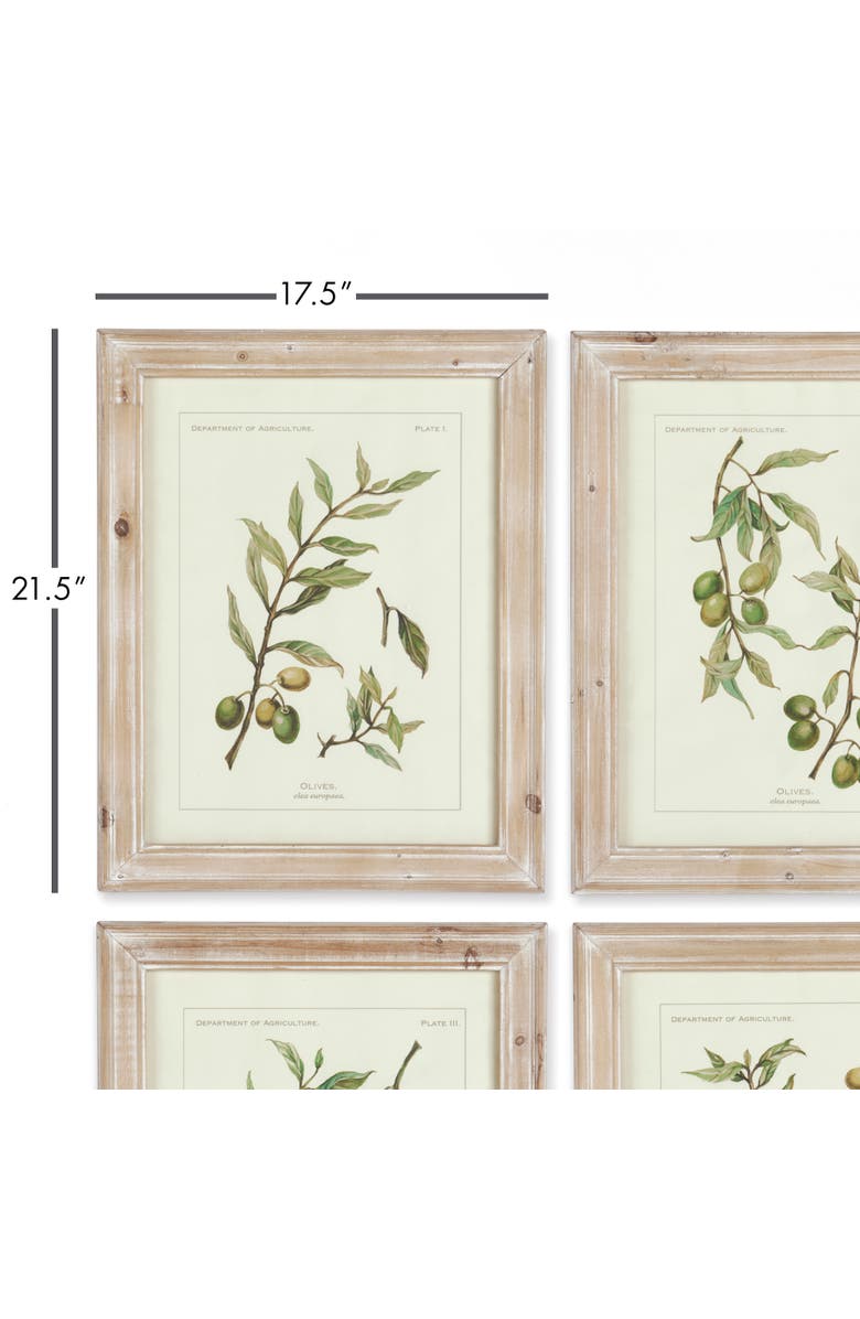 Napa Home & Garden Framed Olive Leaf Botanical Prints Set of 4, Alternate, color, Off-White