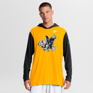 Nike Men's Nike Gold/Black Iowa Hawkeyes Campus Legacy Tri-Blend Long Sleeve Hooded T-Shirt
