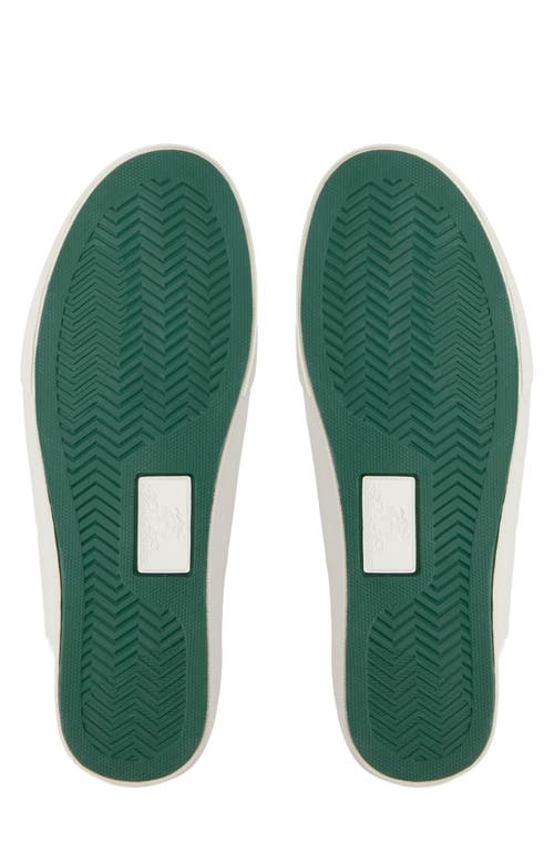 Brooks Brothers York Low Top Sneaker In White