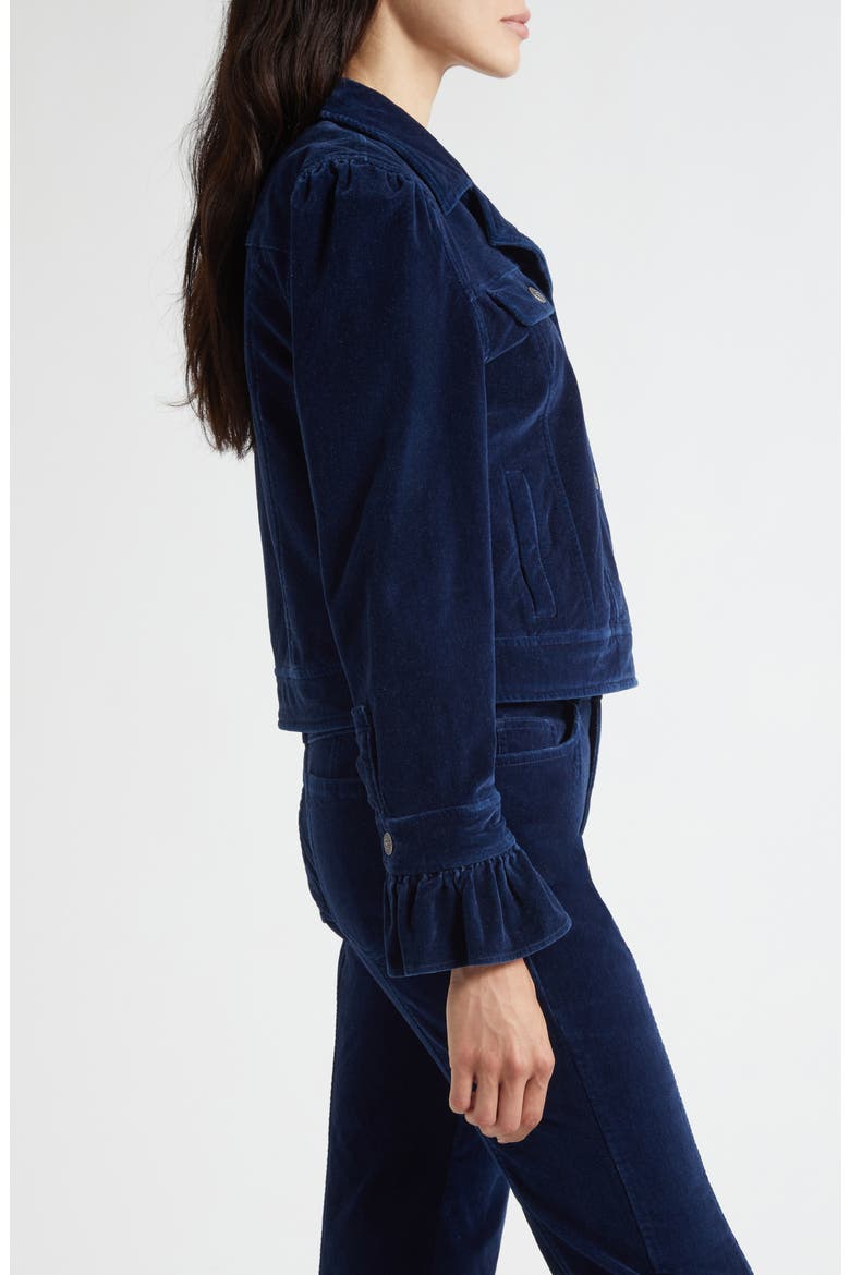 Deryn Crop Velvet Jacket, Alternate, color, ANNECY