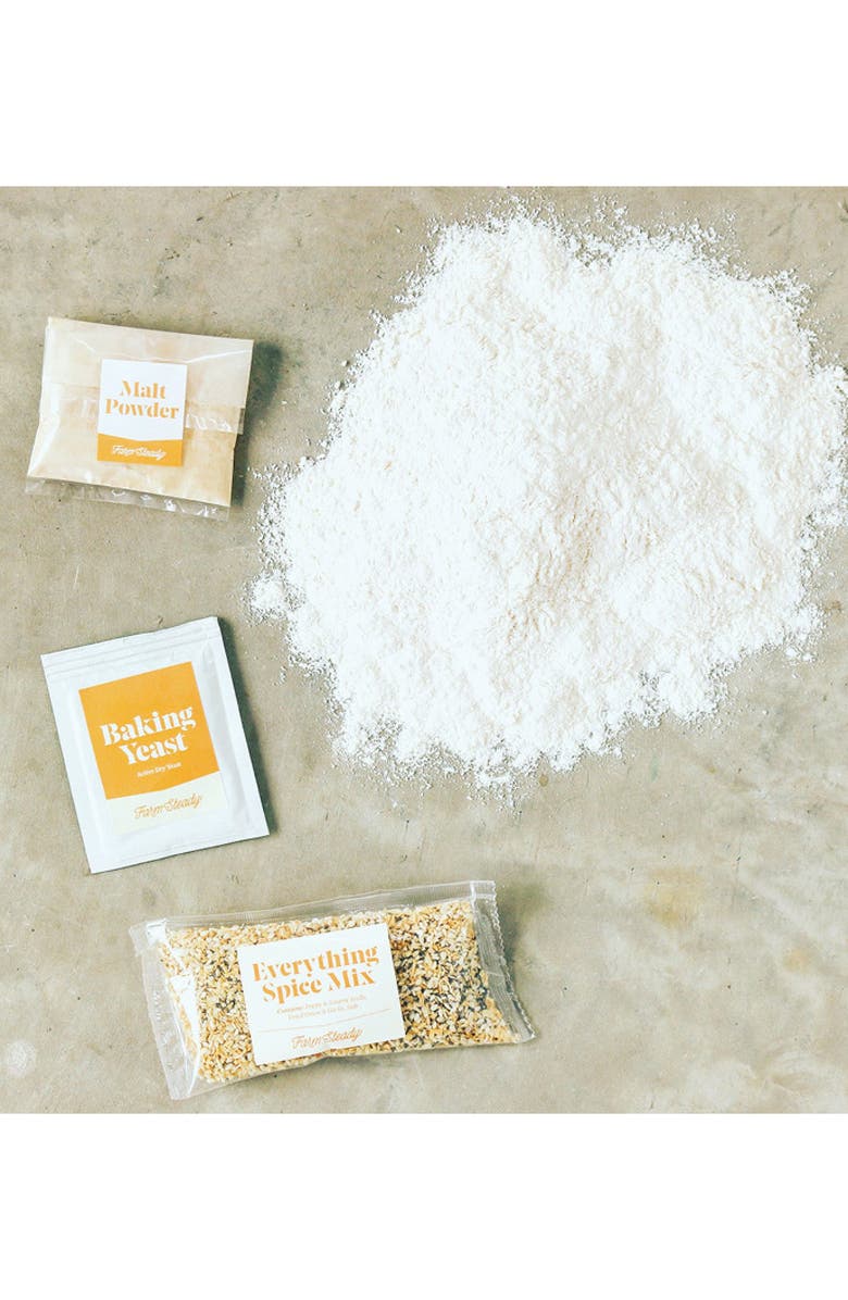 Brooklyn Brew Shop FarmSteady Bagel & Cream Cheese Making Kit, Alternate, color, Brown