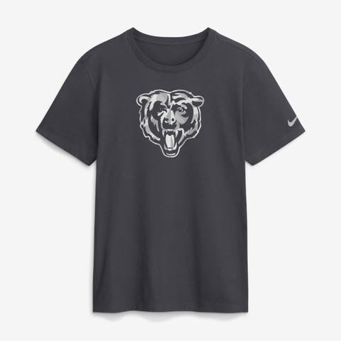 Men's Nike Anthracite Chicago Bears Fractal Logo T-Shirt