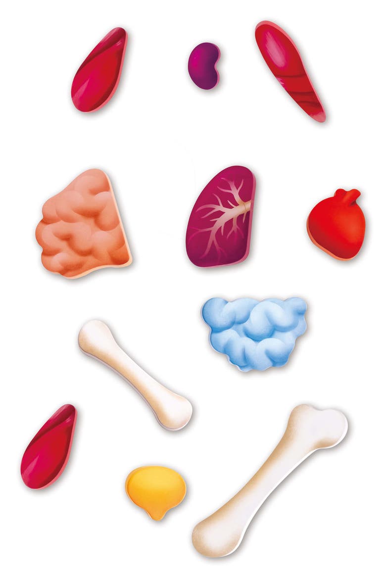 Human Body 50-Piece Puzzle, Alternate, color, MULTIPLECOLOR