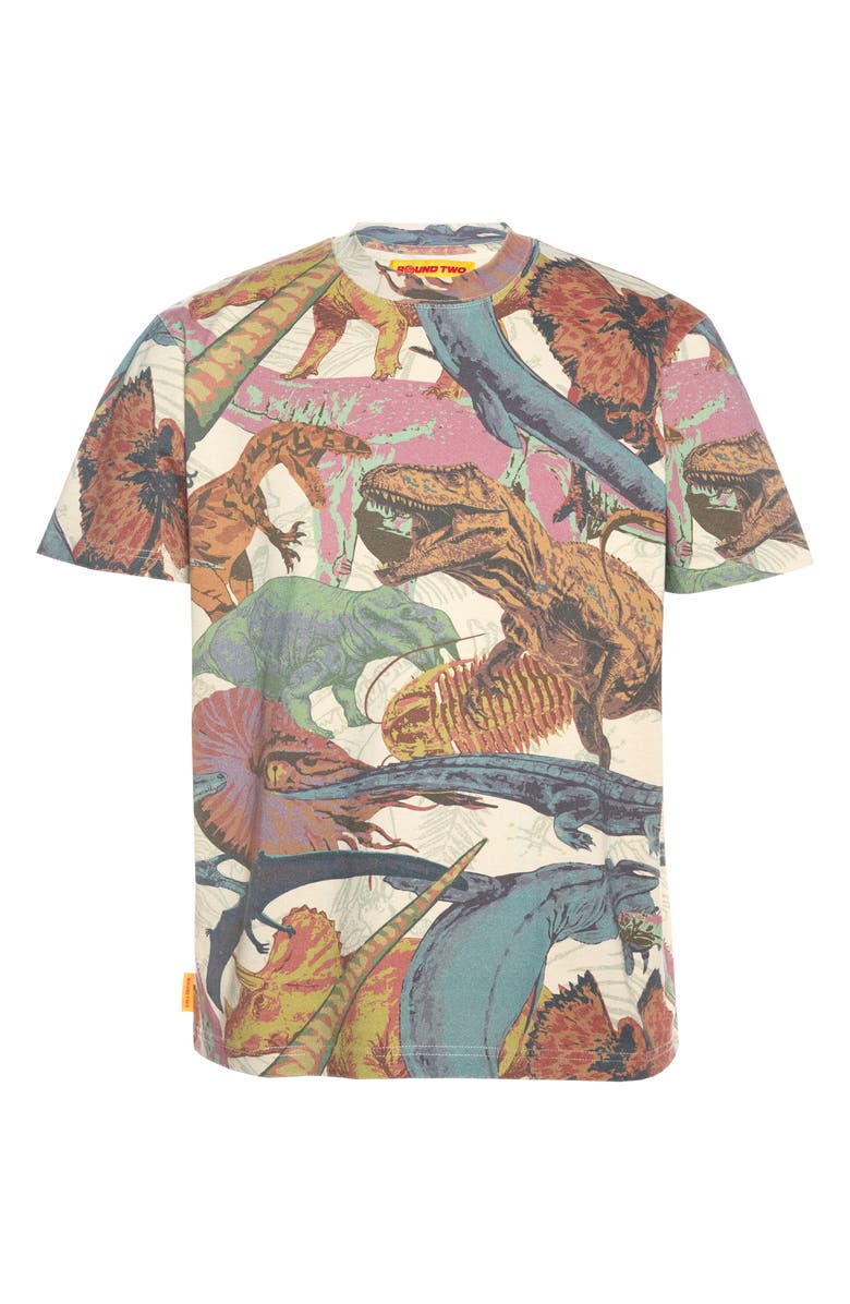 Round Two Dinosaur Print Cotton T-Shirt, Alternate, color,