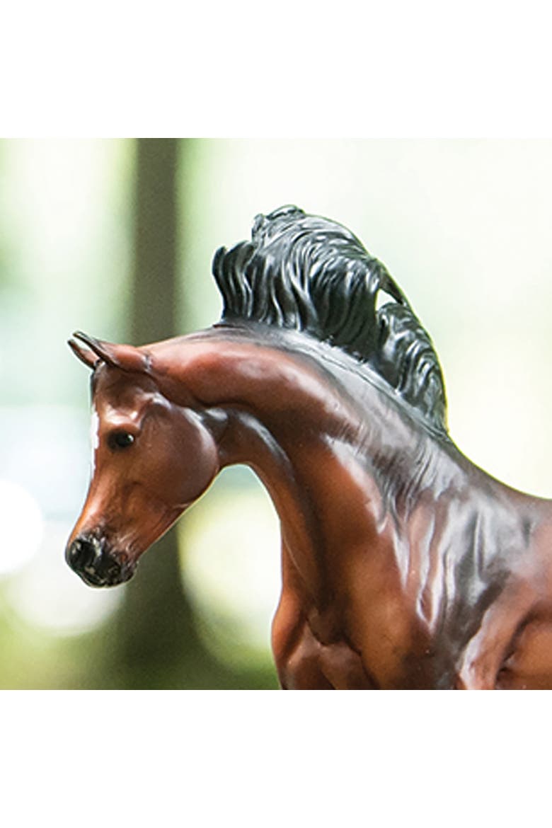 The Freedom Series Mahogany Bay Arabian, Alternate, color, Brown