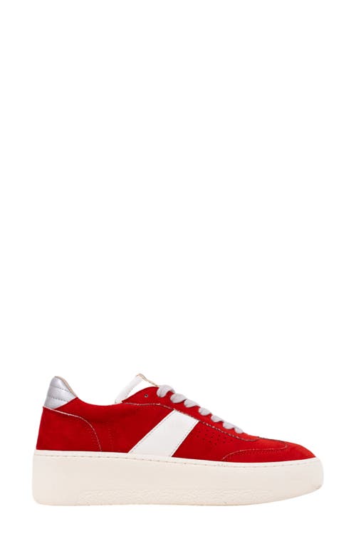 Shushop Stacey Platform Sneaker