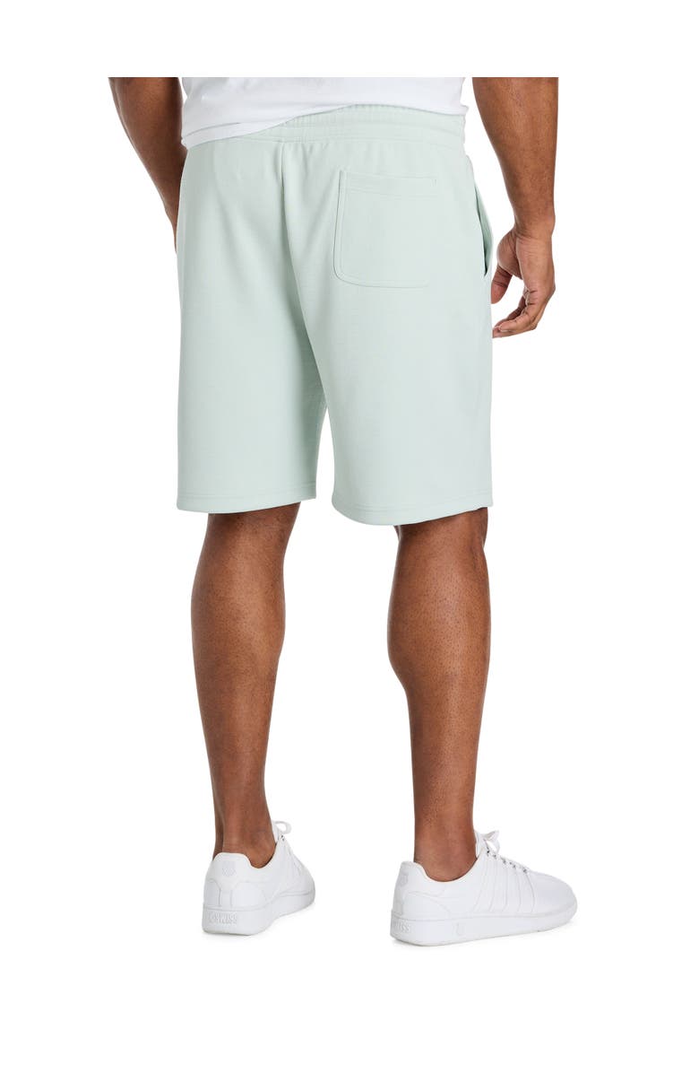 Society of One by DXL Big & Tall Textured Shorts V2, Alternate, color, Mint
