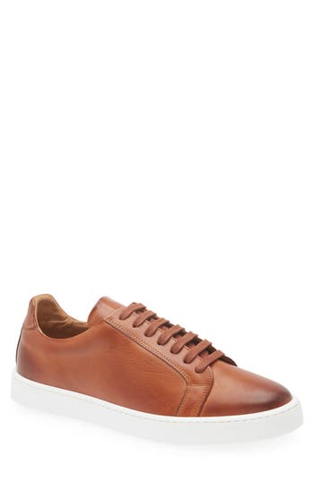Bruno Magli Magnifico Low Top Sneaker In Cognac