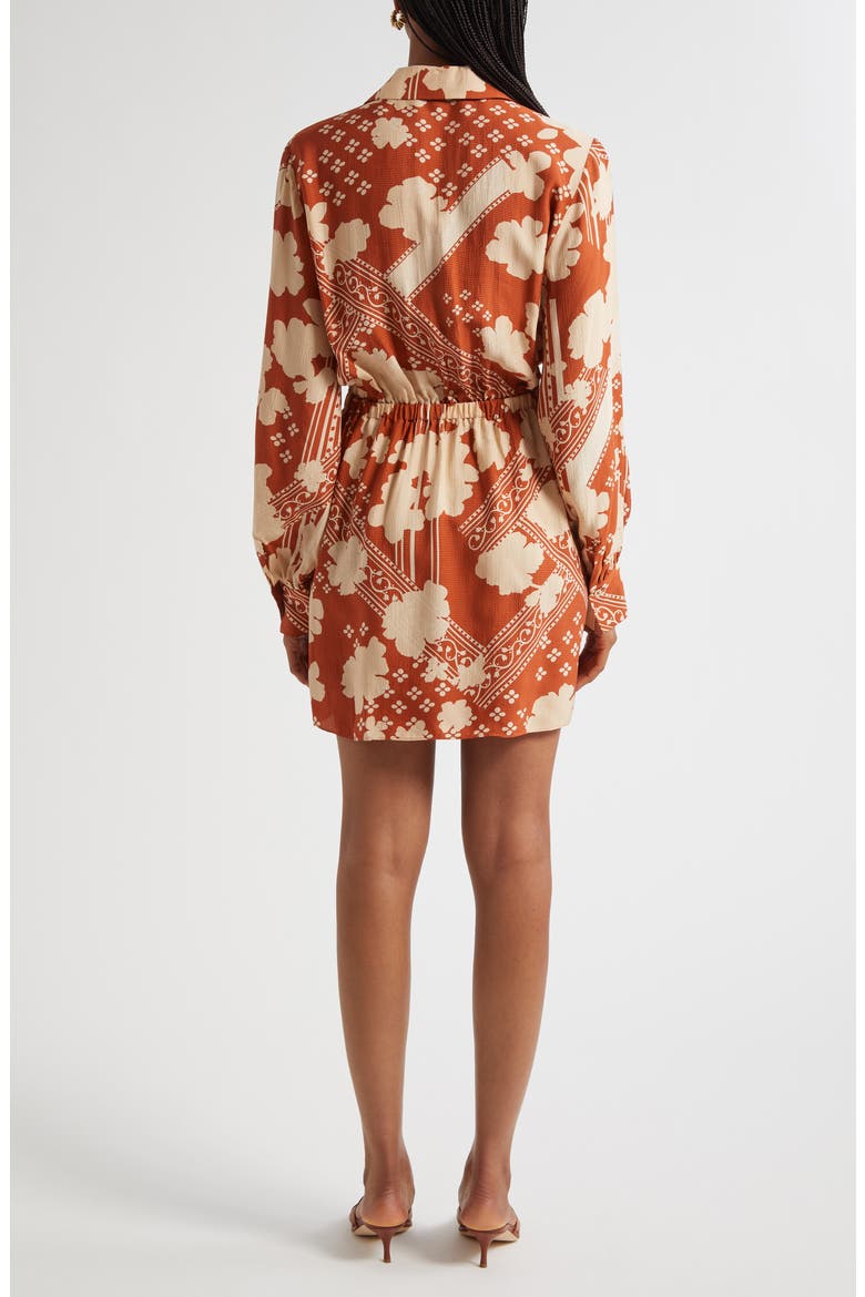 Ada Mixed Print Long Sleeve Shirtdress, Alternate, color, AMBER COMBO