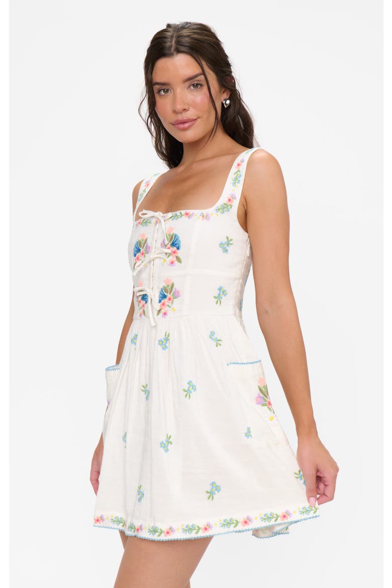 Demi Mini Dress, Alternate, color, Wild Meadow Embroidery