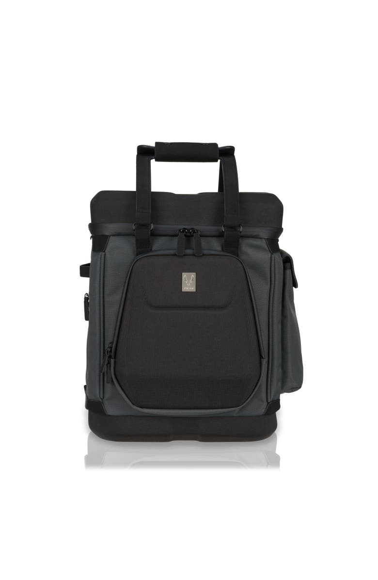 Viski Roanoke Insulating Backpack in Black, Main, color, Black