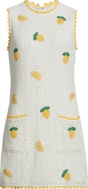 Saylor Wynn Sleeveless Crochet Minidress